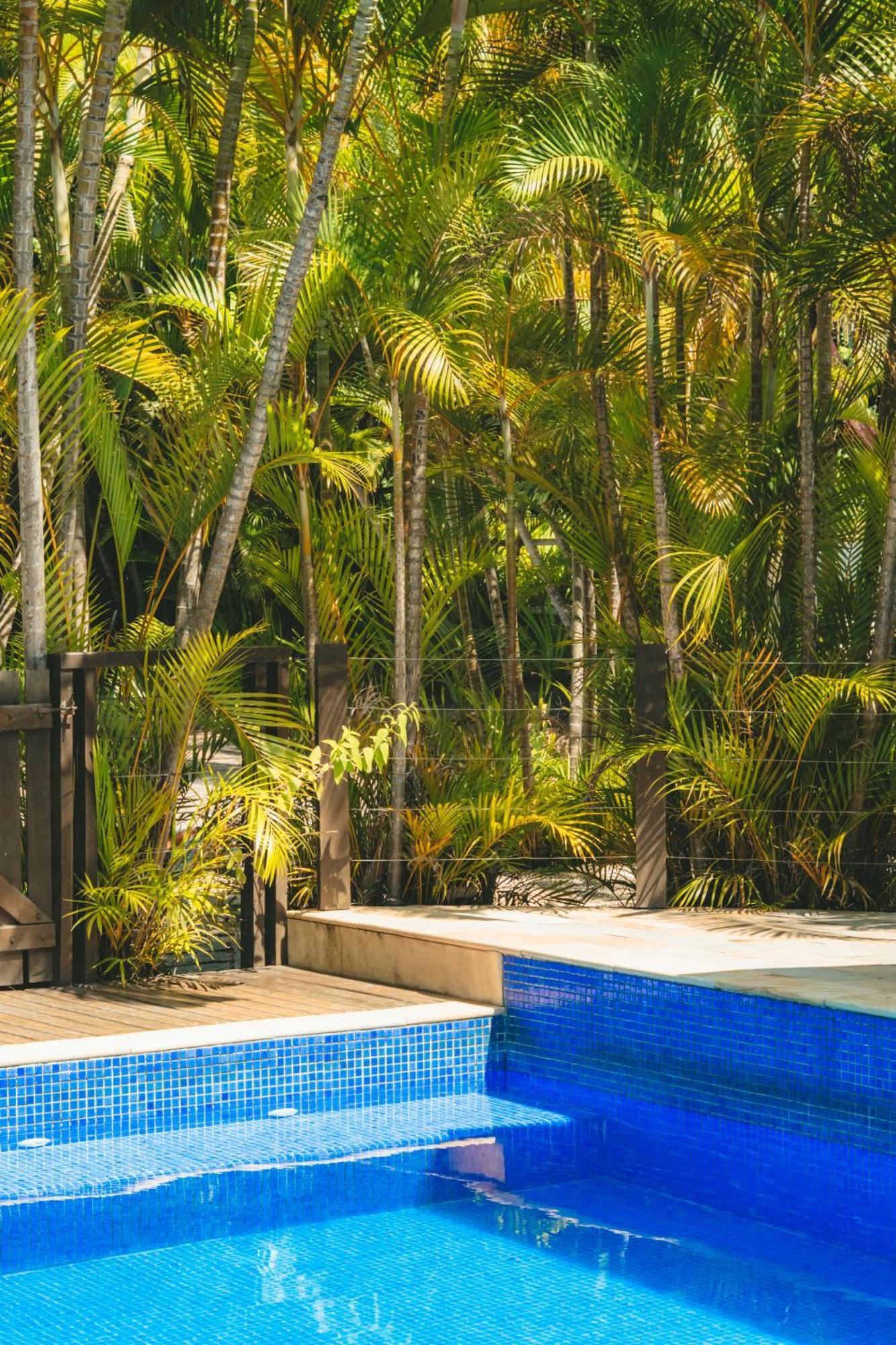 Pousada Vila Tamarindo Eco Lodge Флоріанополіс Екстер'єр фото
