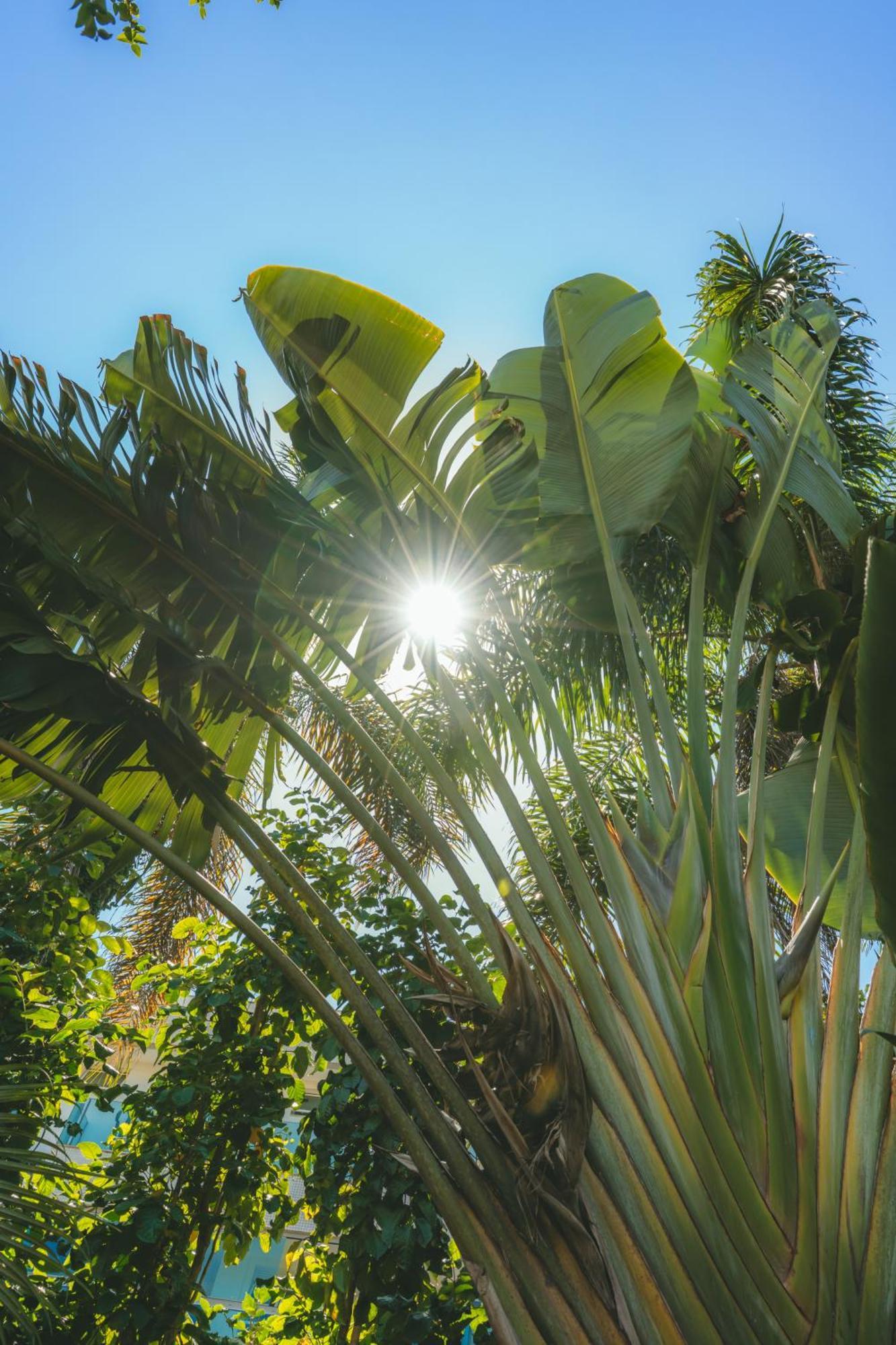 Pousada Vila Tamarindo Eco Lodge Флоріанополіс Екстер'єр фото